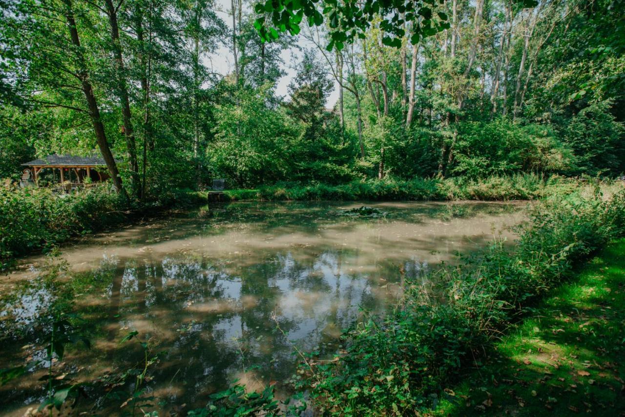 Ferienwohnung Panorama Teichblick Heldritt Luaran gambar